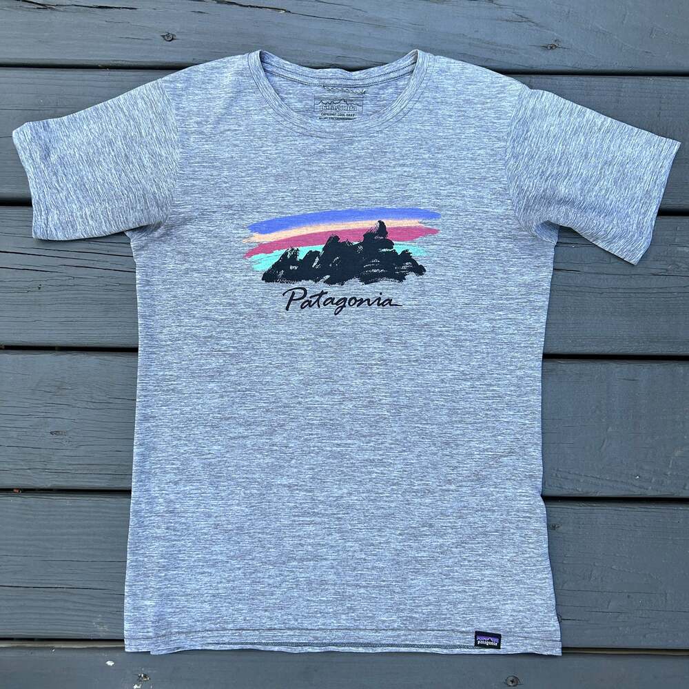 Patagonia Capilene Cool Daily Graphic Tee XS Gray Mountain Logo Performance Top